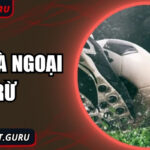 Kèo hoà ngoại trừ: Bản sắc riêng trong làng cá cược hiện đại