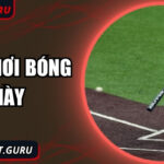 Khám phá luật chơi bóng chày dễ hiểu cho người mới